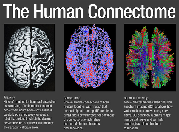 For centuries, attempts attempts have been made to map the human brain. Now the roads are a lot clearer.