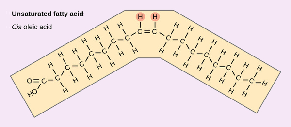 Unsaturated fatty acids have double bonds, which cannot spin. This means there are two possible orientations. The healthy "Cis-" orientation has both hydrogen atoms on the same side causing a bend in the chain. This bend fits the shape of our natural enzymes and is easy to digest.