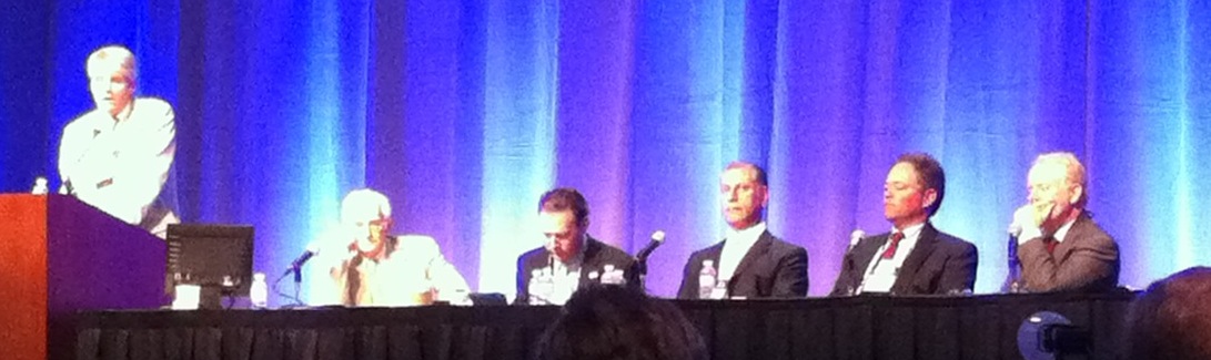 ISAPS2010PtSafetyPanel