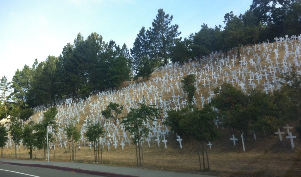 Lafayette Hillside Memorial - Lafayette, CA