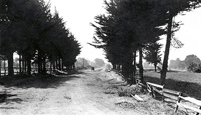 The Crossroads - South Main Street Walnut Creek, CA. looking north in 1849.