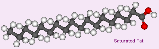 Saturated Fat: Octadecanoic Acid (Stearic Acid or Stearate) has a carbon backbone completely filled with hydrogen atoms. All carbon bonds are single bonds, and the backbone can rotate freely.