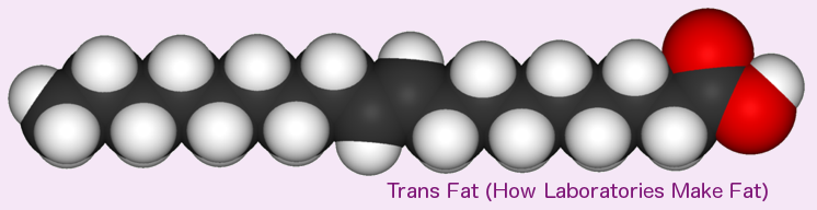 Trans Fat (Elaidic Acid) is also monounsaturated, but this shape is found in only trace amounts in nature.