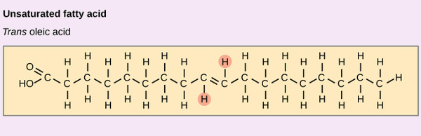 Trans-fats have the hydrogen atoms on opposite sides of the double bond. The result is a straighter molecule that tends to plug up our natural enzymes causing health problems. Since this shape is not found in nature, our bodies are not equipped to digest them.