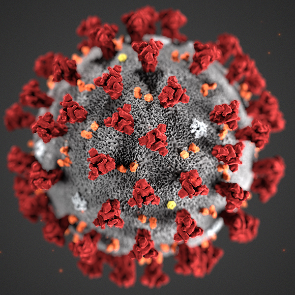 COVID-19 Virus