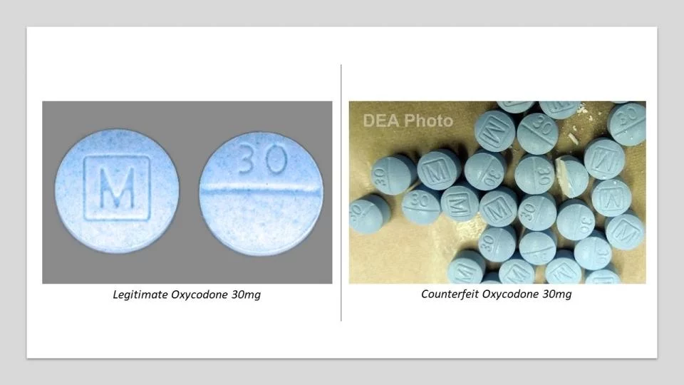 Counterfeit oxycodone vs authentic oxycodone pills.
